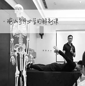 功能性解剖学